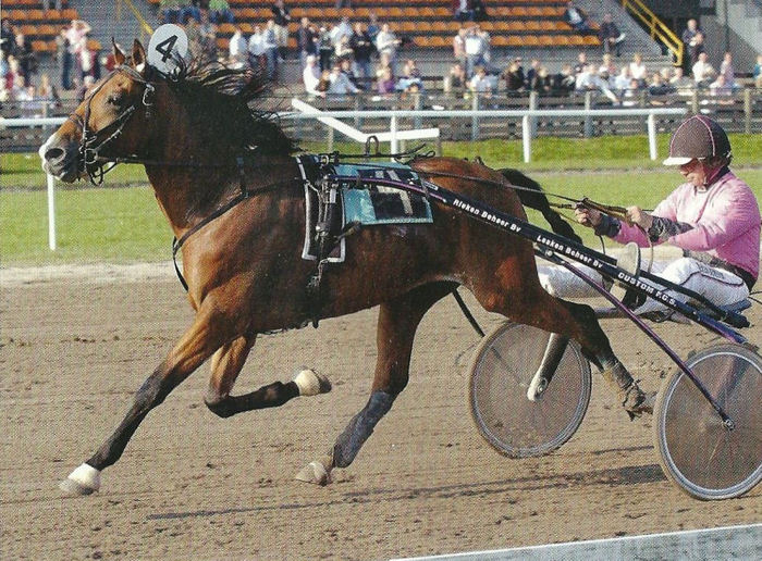 Rob Toor Archief van de Ned. Draf- en Rensport